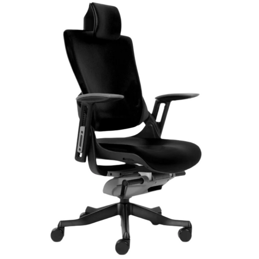 Office Chair Wau Ergo L | size: Width: 77cm, Height: 140.5cm, Depth: 70cm | color: Black | image: 1 | variant: 2000002