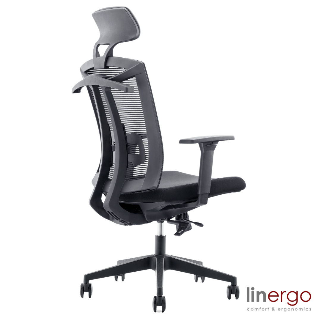 Office Chair East Norwich | size: Width: 50cm, Height: 128cm, Depth: 49cm | color: Black | image: 1 | variant: 1004644