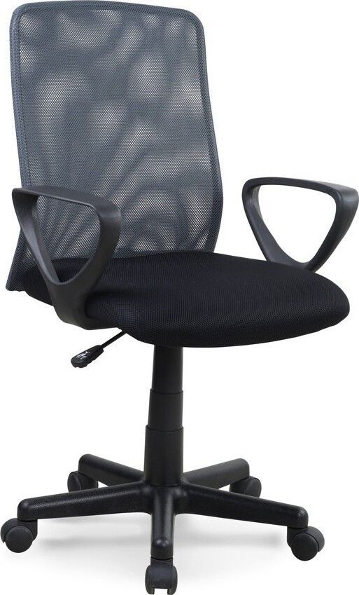 Office Chair Alex | size: Width: 57cm, Height: 99cm, Depth: 56cm | color: Gray | image: 1 | variant: 1011527