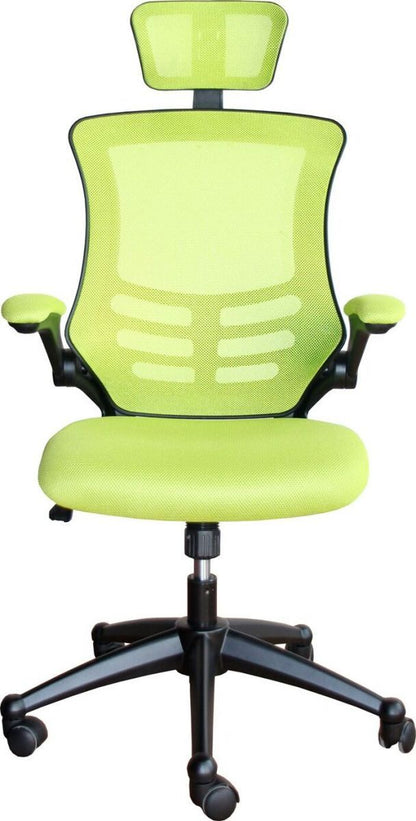 Office Chair Ragusa | size: Width: 51cm, Height: 117-126cm, Depth: 66.5cm | color: Green | image: 1 | variant: 1005298