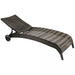 Sun Lounger Didcot | size: Length: 196cm, Width: 73cm, Height: 99cm | color: Brown | image: 1 | variant: 1000686